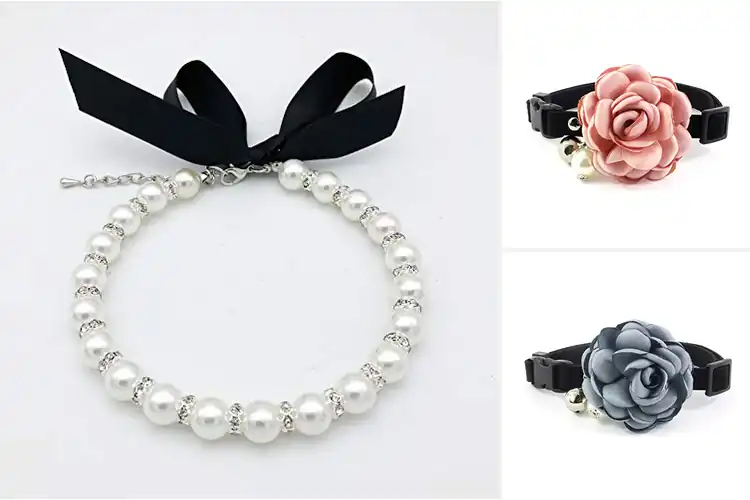 Detailed view of Best PETFAVORITES Accessories
