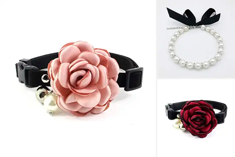 Detailed view of Best PETFAVORITES Cat Dog Collars