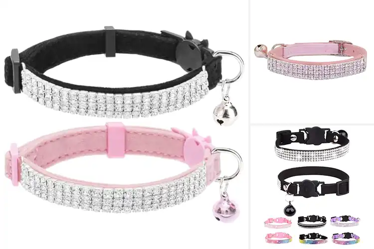 Detailed view of Best Rhinestone Cat Collars