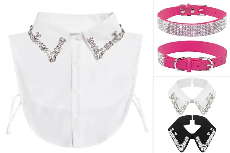 Detailed view of Best Rhinestone Collars