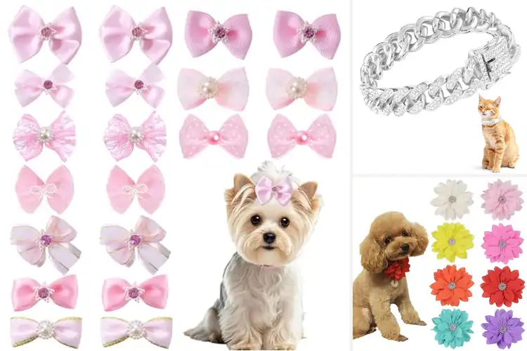 Detailed view of Best Rhinestone Pet Accessories
