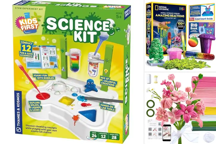 Detailed view of Best Safe Odorless STEM Kits: Top 10 Fun & Worry-Free Picks
