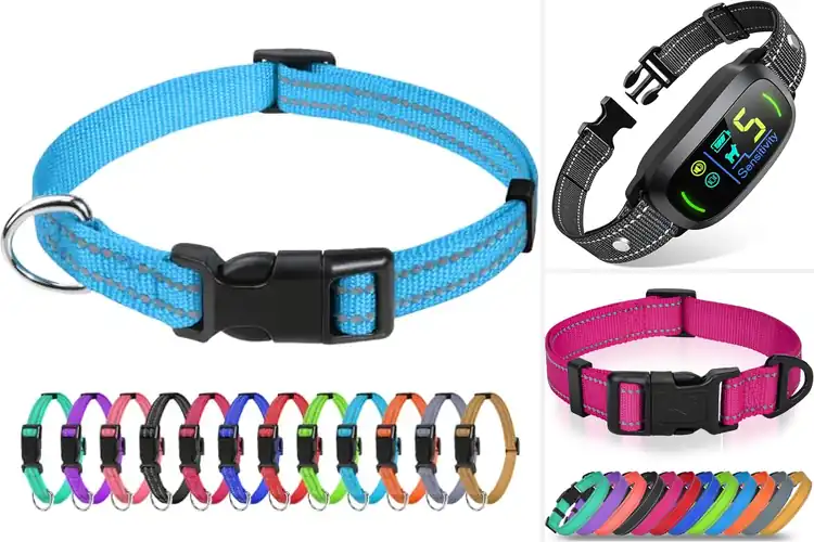 Detailed view of Best Small Dog Collars: Safe, Comfortable & Stylish Picks