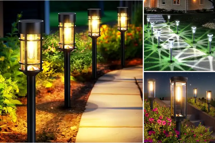 Detailed view of Best Solar Lawn Lights