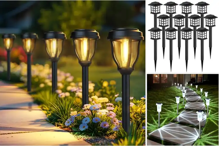 Detailed view of Best Solar Lights Sets