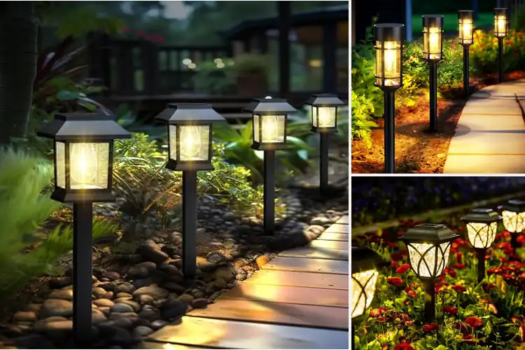 Detailed view of Best Solar Walkway Lights