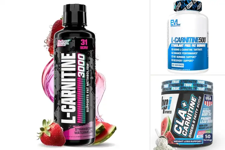 Detailed view of Best Stimulant Free Carnitine Supplement
