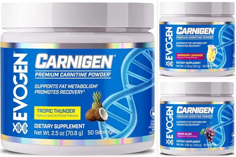 Detailed view of Best Stimulant-Free L Carnitine Supplement Matrix