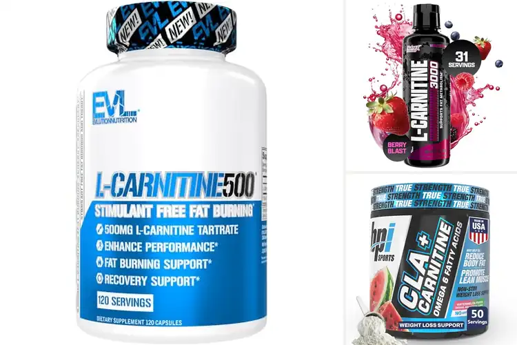 Detailed view of Best Stimulant-Free L-Carnitine Supplement