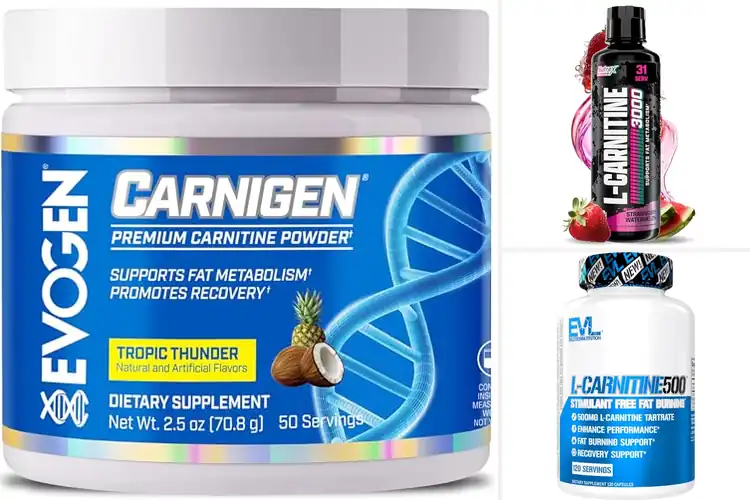Detailed view of Best Stimulant Free L Carnitine Supplements