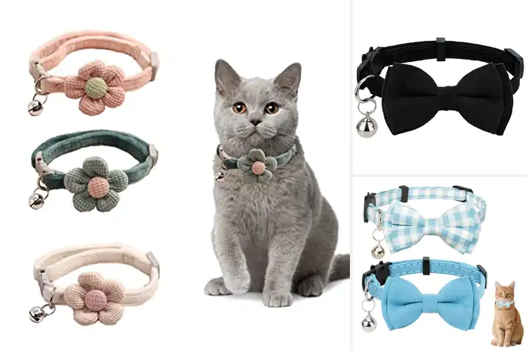 Detailed view of Best Suede Cat Collars: Top 10 Stylish & Comfy Picks