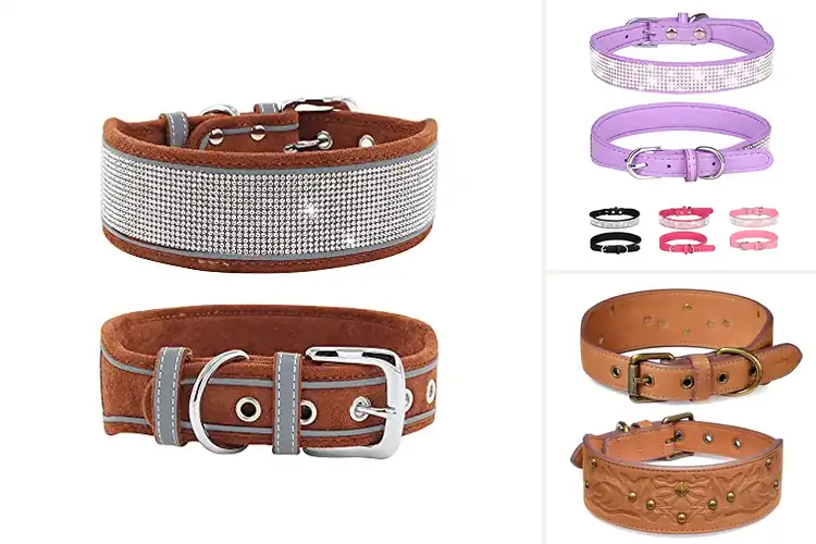 Detailed view of Best Suede Dog Collar Materials