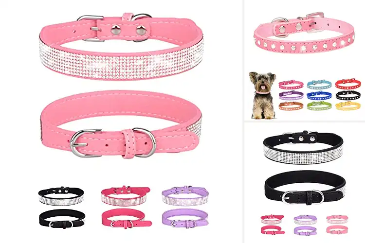 Detailed view of Best Suede Dog Collars