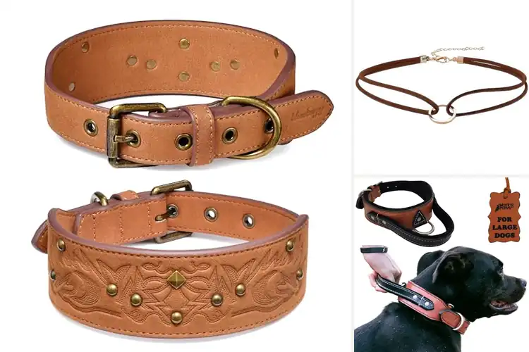 Detailed view of Best Suede Leather Collars