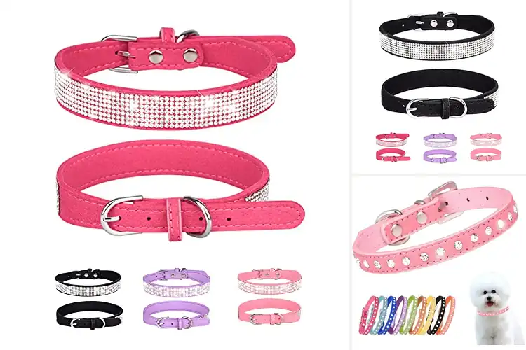 Detailed view of Best Suede Leather Pet Collar Material
