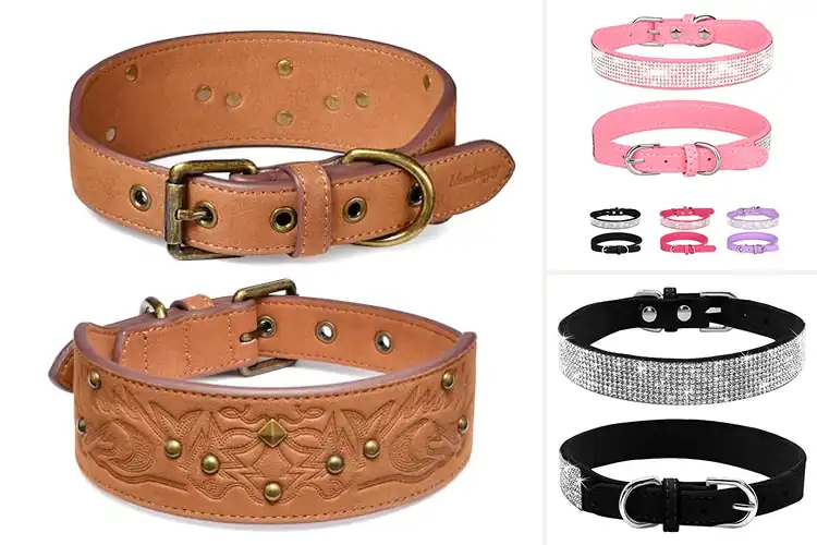 Detailed view of Best Suede Leather Pets Collars: 10 Stylish & Comfy Picks