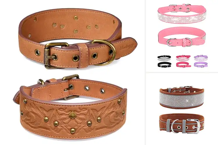 Detailed view of Best Suede Material Pet Collars