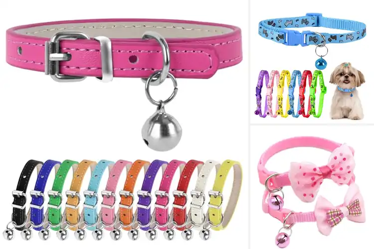 Detailed view of Best Tea Cup Dog Collars: Cute & Secure for Your Tiny Pup