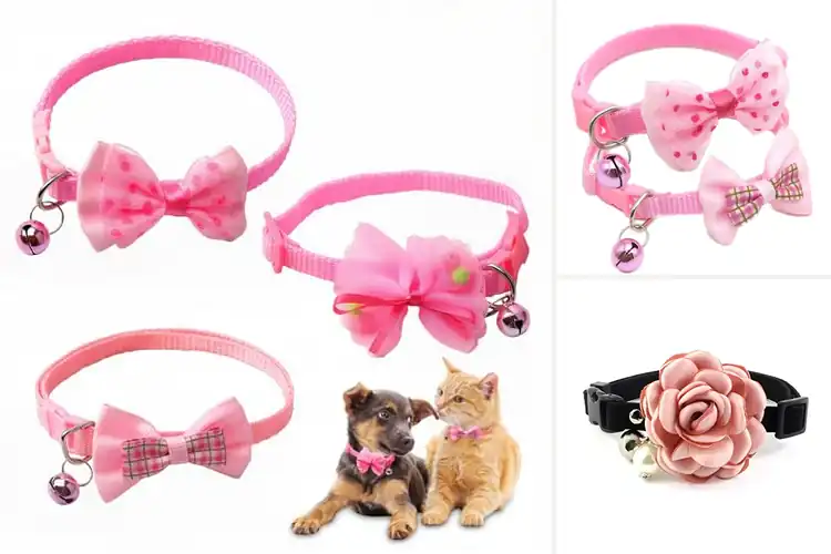 Detailed view of Best Teacup Dog Cat Collar Bow: 10 Adorable & Safe Picks