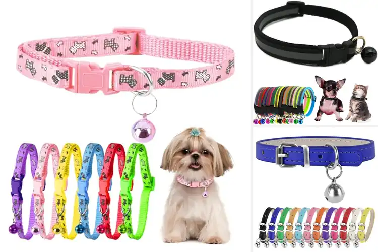 Detailed view of Best Teacup Dog Collar For Yorkie Chihuahua