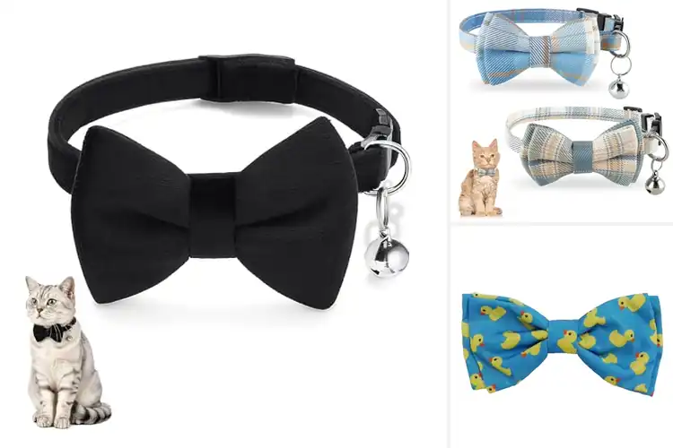 Detailed view of Best Teardrop Bowtie Cat Dog Collars