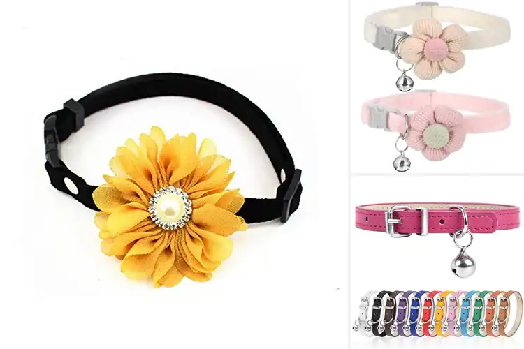 Detailed view of Best Teaup Dog Collars
