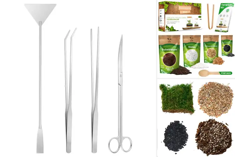 Detailed view of Best Terrarium Supplies