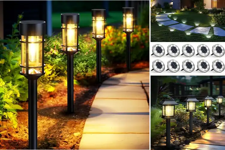Detailed view of Best Walkway Solar Lights
