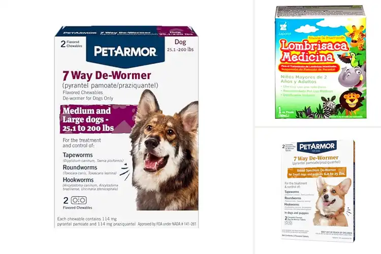 Detailed view of Best Worm Treatments