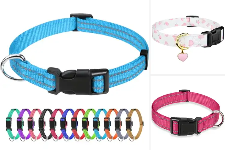 Detailed view of Best Yorkie Collars